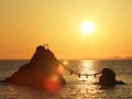2025年の夏至はいつ？冬至と夏至の関係、食べ物などを解説