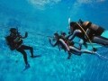 スキューバダイビングインストラクターになるには？