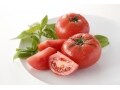 トマトダイエットは効果がある？おすすめの食べ方や栄養価について