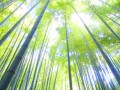 鎌倉で食べ歩き！江ノ島もめぐる日帰りモデルコース