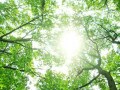 知らないと損！若年層にも必要な年金の話