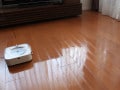 床拭きロボット「ブラーバ ジェットm6」で裸足で歩きたくなる床をキープ！