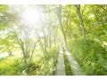 コロナ後をポジティブに生きるには何が必要？