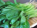 小松菜の栄養・選び方・保存方法