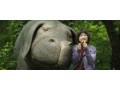 Netflixオリジナル映画のおすすめ6選！洋画編