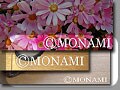 ペイントを使ってコピーライト表記　写真に自分のサインを入れよう1