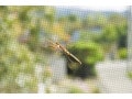 意外と簡単！秋にやっておくべき網戸掃除、台風後のサッシ部分もキレイに