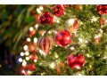 「クリスマスカラー」の緑・赤・白・ゴールド…どんな意味がある？ “色”から読み解くクリスマス