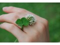 恋人より妻が上？社会的“お墨付き”感は？20年続く「事実婚」関係が急に不安になった理由