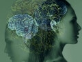 1つの体に2つの心？右脳と左脳で異なる感じ方や好き嫌い