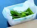 レタスの保存は野菜室？大葉は冷凍できる？意外と知らない夏野菜の保存方法