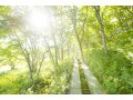 50歳を過ぎたら、老いじたくを始めよう