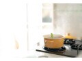 コバエ発生！「余ったカレー」をそのまま冷蔵庫も食中毒の危険性！夏の家事でよくある失敗の対処法