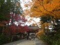 【2022年】関西のおすすめ紅葉スポット7選！ 人気名所の見頃情報も