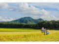 2022年冬のボーナスの理想的な使い道TOP5！