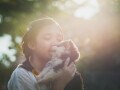 家族の一員であるワンコを亡くして落ち込む母娘に「たかが犬じゃないか」と冷酷に言い放った夫