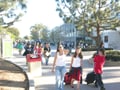 カリフォルニア大学でアジア系が白人抜く？