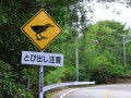 どんなに急いでいても走行してはいけない！ 知らないと損する「沖縄のローカル交通ルール」に要注意