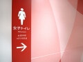 【みんな、トイレで何してる？】結婚式前に、ライブ前に。そして、おしゃれ心が止められないときに…