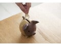 60代で3000万円を目指すために考えておきたいこと3つ