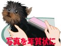 オートシェイプで年賀状作成！来年は戌年～