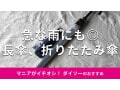 100均ダイソーの「傘」は300円、500円でお得！サンシェード◎売り場はどこ？