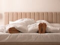 子どもを欲しがる夫、黙ってピルを飲む私。「30代は思い切り仕事しよう」と結婚したのに…