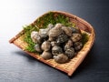 Q. 「アサリやハマグリに有毒なものがある」って本当でしょうか？