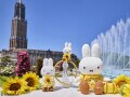 ハウステンボスの夏を楽しむ6つのキーワードは？ ひまわり、ミッフィー、プール、花火……遊園地王が厳選