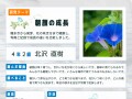PCでもスマホでも使える！ デザインツール「Adobe Express」で自由研究を思い通りにまとめよう