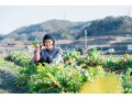 月の年金8万円・預貯金150万円「豊かな資産がなくても、食べたい野菜を作る今が好き」79歳女性の幸せな老後