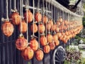 渋柿の「渋抜き」で渋みがなくなるしくみ・さらに簡単な方法は？