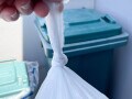 暮らしの中で虫が発生するシーンとは？ 虫の侵入を防げる“正しい対策”【家事のプロが解説】