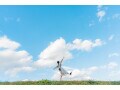 年収400万円「増減はチェックしないようにしてほったらかし」39歳・会社員女性が実践する長期積立投資の運用方法