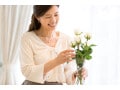身元保証支援サービスを検討するおひとりさまが知っておきたい相談先と自分でできる備え