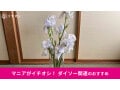 【ダイソー】500円「フラワースタンド」は売ってる？「割れにくい花瓶」レビュー