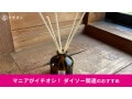 【ダイソー】「虫除け」は種類豊富で驚き！アース製薬製＆インテリアにもおしゃれ◎9種類比較