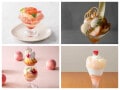 【2025年夏】横浜で味わいたい、旬の桃を使ったぜいたくパフェ4選