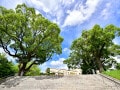 神戸市9区で「教育熱心」だと思うエリア2位は「灘区」、では1位は？【2025年最新】