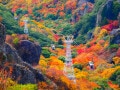 【2025年】四国で人気の紅葉スポットランキング！ 2位「寒霞渓」、1位は？【専門家の解説も】