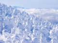 冬に行きたい「雪まつり・イベント」ランキング！ 2位「蔵王樹氷まつり」、1位は？【専門家解説】