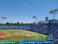 「結局プロ野球観戦に行くならファンクラブに入っていた方が…」年収400万円・20歳男性が後悔した節約
