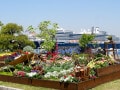 GWの横浜観光、シニアが楽しむなら？ 横浜ガイドが教える、混雑回避のコツとお得な割引スポット