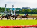 支出16万円で年60万円貯金「趣味の競馬は月2回。最近ポイ活も始めた」66歳男性の年金ひとり暮らし