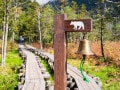 鈴の効果ゼロ、人間から「リターンがある」と学習し襲うクマも。4タイプで見るクマの危険性【図解】