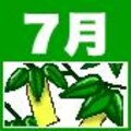 申し込みを忘れずに！　ＩＴ資格カレンダー７月