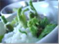 春爛漫のおもてなし☆蒸し物２種　たらの芽の雪どけかぶら蒸し