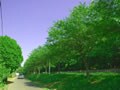 初夏の窓・ケア・メソッド