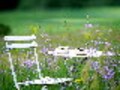 鎮痛効果のあるオイルを使って・・・　アロマで頭痛を撃退する！