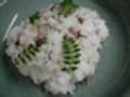 春は桜ごはん